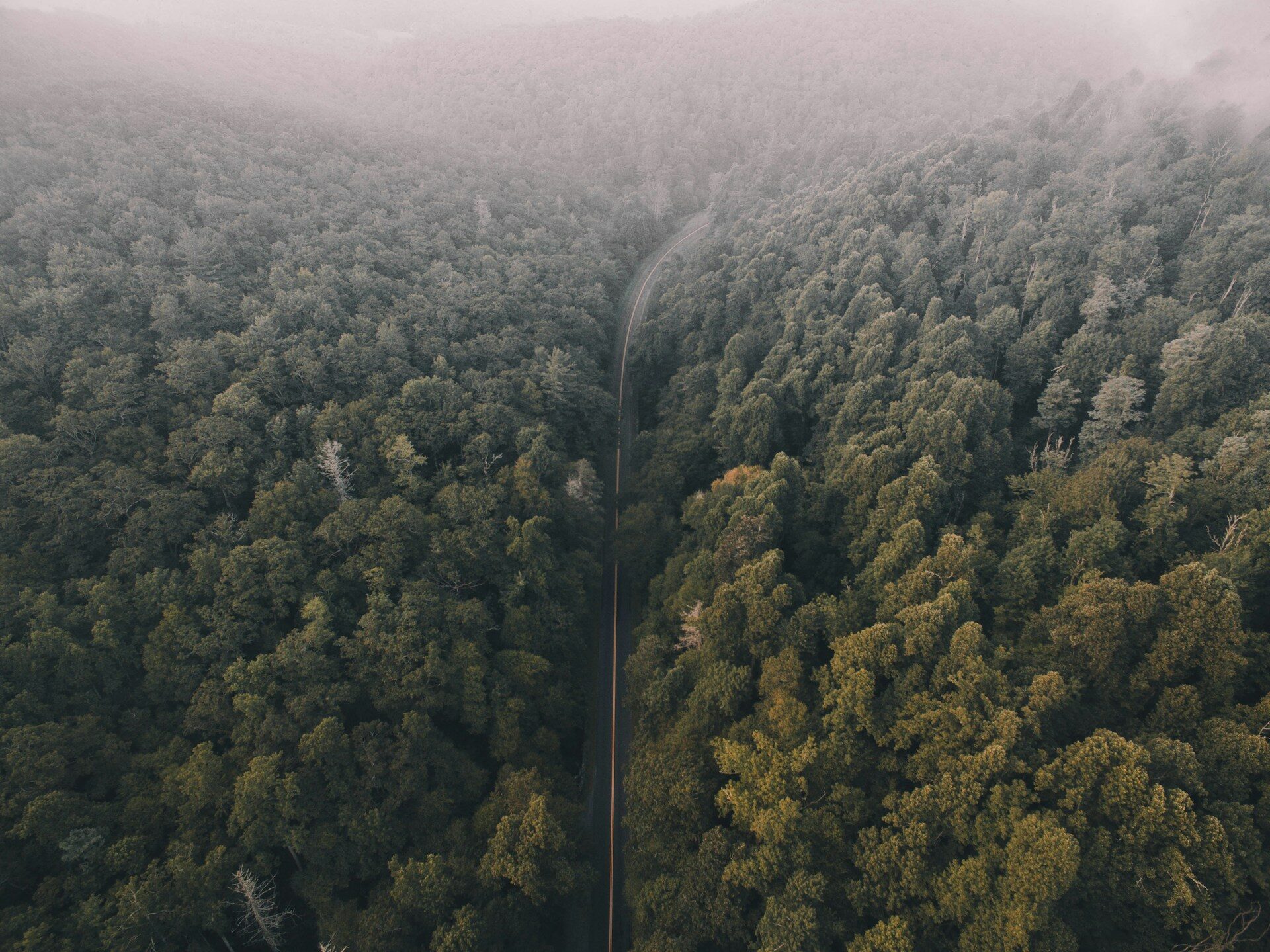 Developing a Visual Time-Based Roadmap